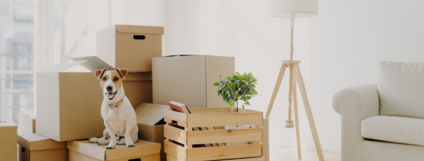 How Long in Advance Should I Contact Movers?